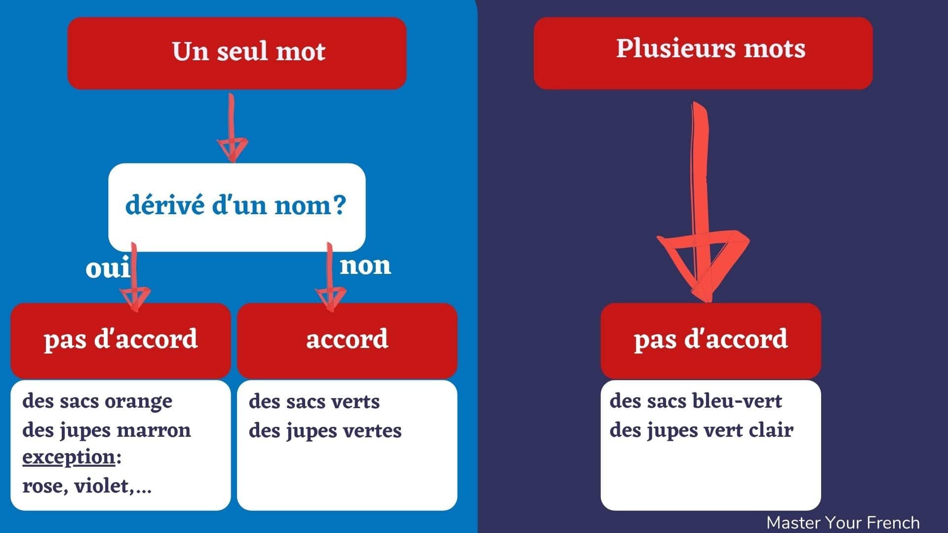L'accord des adjectifs de couleur Master Your French
