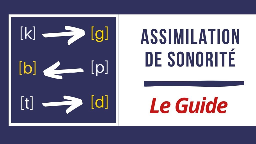 assimilation de sonorité en français