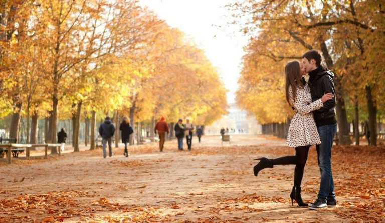 tree leaves fall fall season with people in a parc