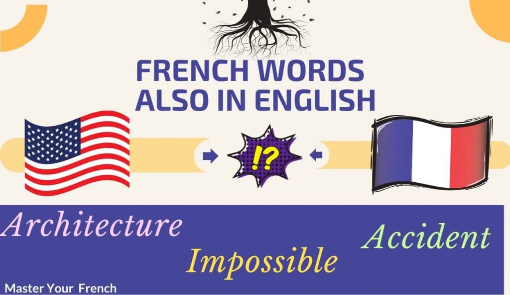 french words used in english illustration