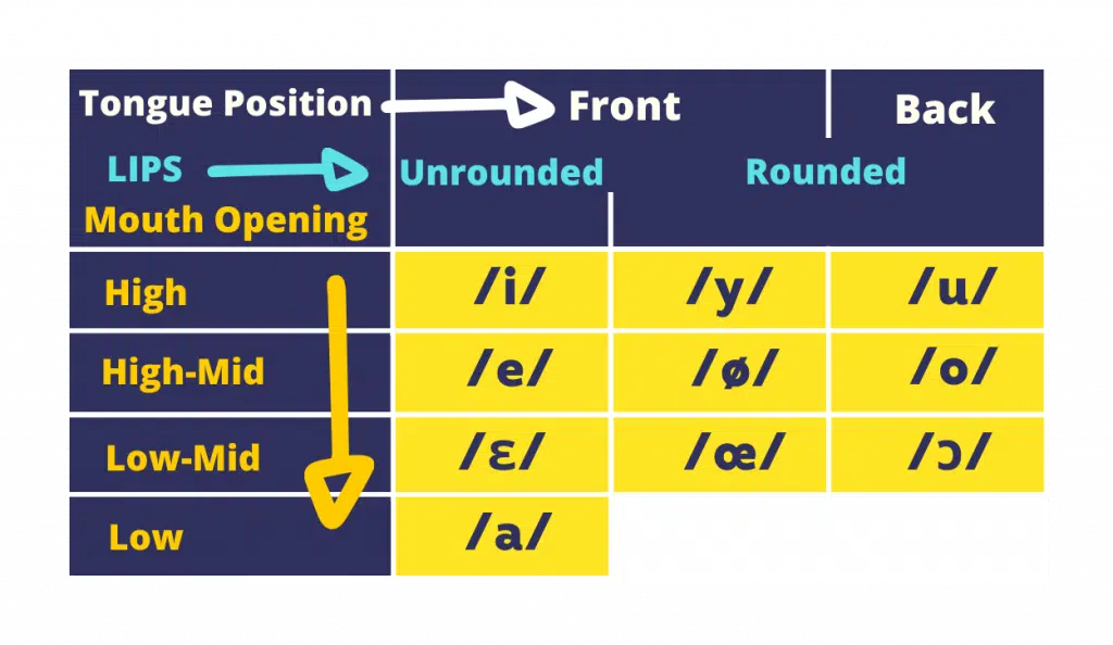 chart of oral vowels in french with tongue lips and mouth position