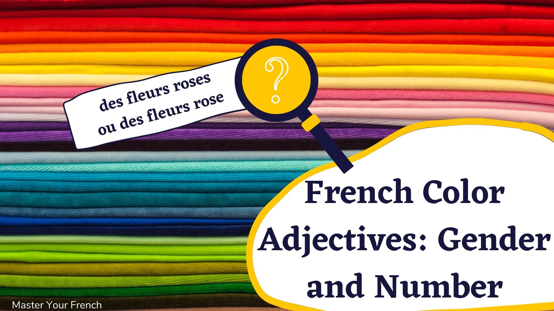 french color adjectives gender and number