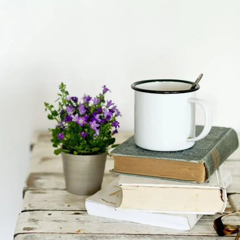 book mug and flowers